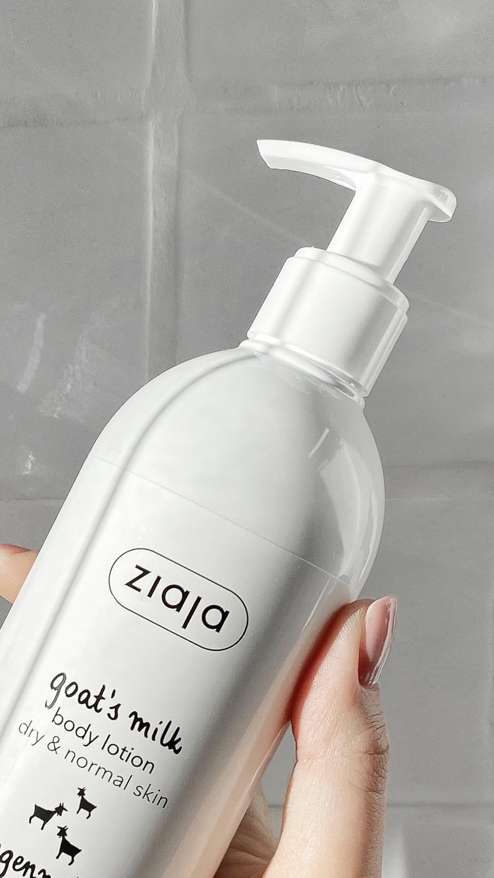 Amazon.com : Ziaja Goat's Milk Body Lotion : Canus Goat Milk